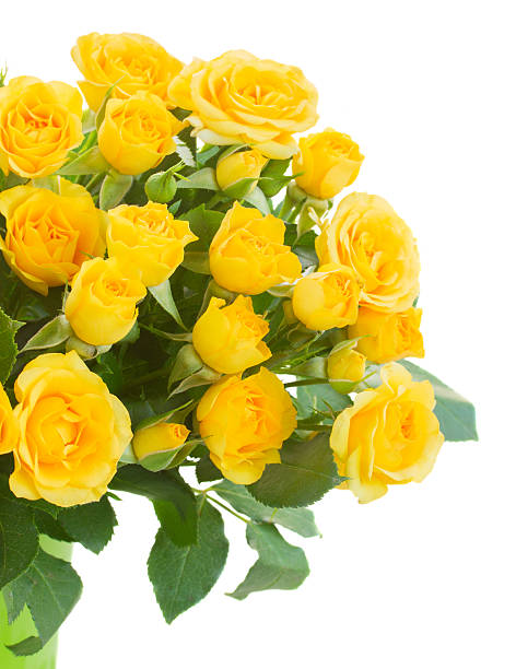 istock bouquet of fresh roses 505027952