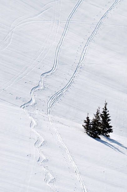 istock Ski track in powder snow 505030834