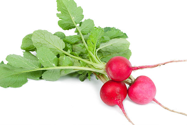 istock Bunch of fresh radish 505033094