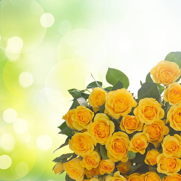 istock bouquet of fresh roses 505033156