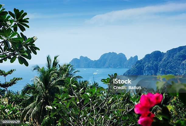 View Of The Island Phi Phi Don Stock Photo - Download Image Now - Asia, Beach, Blue