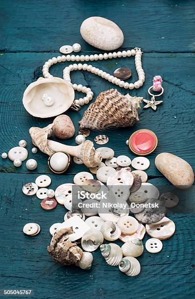 Seashells Stock Photo - Download Image Now - Animal Shell, Authority, Buckle