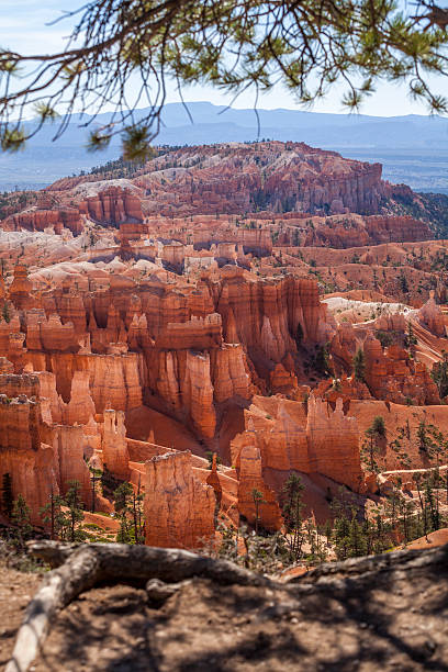 istock Bryce Canyon National Park in Utah, USA 505047149