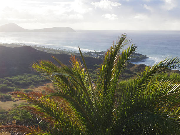 istock Landscape of Hawaii 505047875