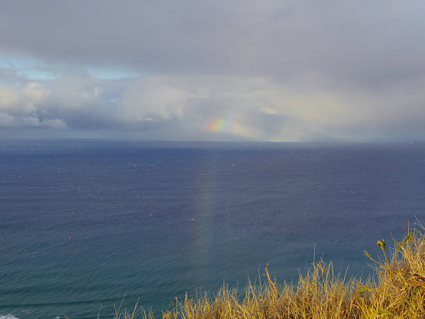 istock Landscape of Hawaii 505047887