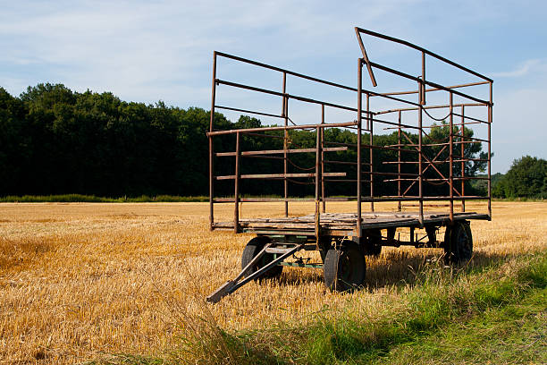 strohwagen - alleine fotografías e imágenes de stock