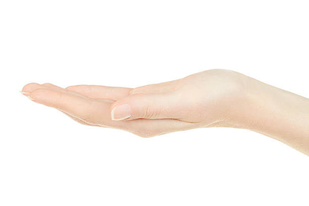 istock Female hand open, palm up 505050625