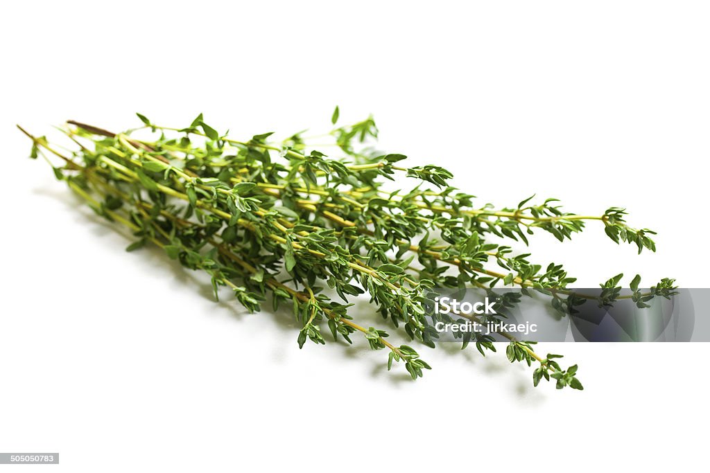 thyme herb thyme herb on white background Aromatherapy Stock Photo