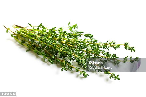 Thyme Herb Stock Photo - Download Image Now - Aromatherapy, Backgrounds, Botany