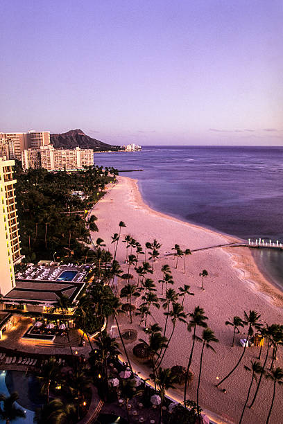 istock Waikiki Beach at dusk 505051445
