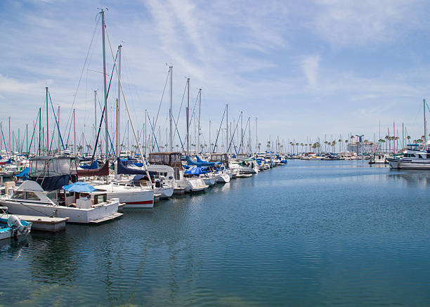 istock Sailboats in Long Beach Harbor 505051951