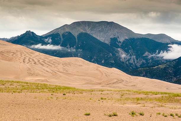 istock Great Sand Dunes National Park Landscape 505052099