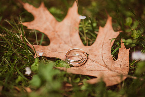 istock beautiful golden rings 505057476