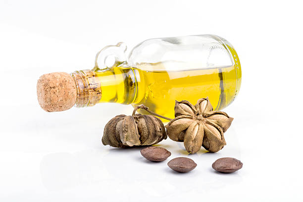 istock Image of sacha inchi peanut seed 505057538