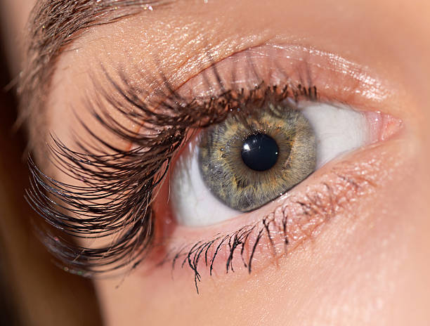 istock green eye, macro shot 505058144