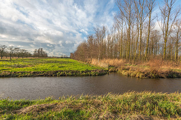 istock Colorful autumn landscape with a small stream 505062048