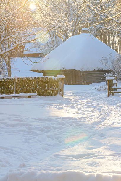 istock Traditional houses in forest 505062136