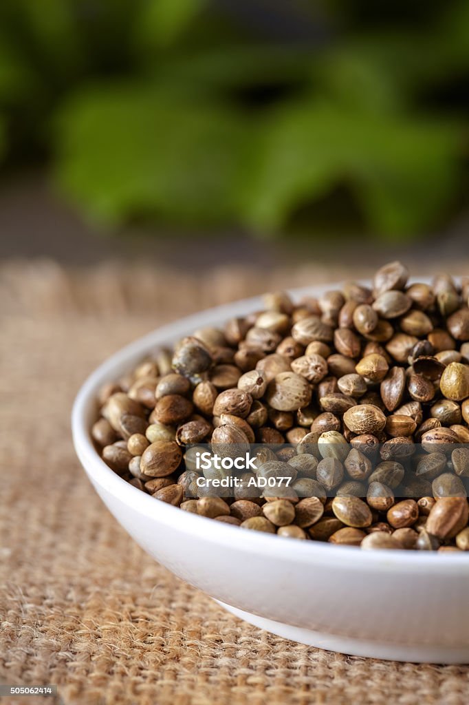 Hemp seeds A white ceramic bowl full of hemp seeds, close up Agriculture Stock Photo