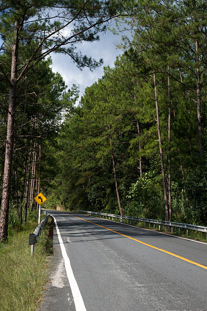 istock The road in the forest 505064198