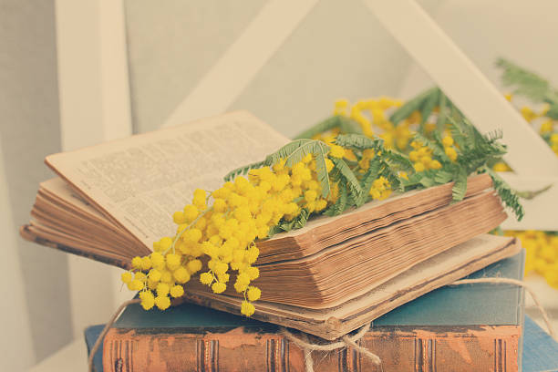 istock pile of old books 505065188