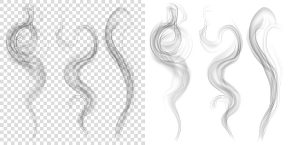 Set of translucent gray smoke on transparent and white background. Transparency only in vector format. Vector illustrations. EPS10 and JPG are available