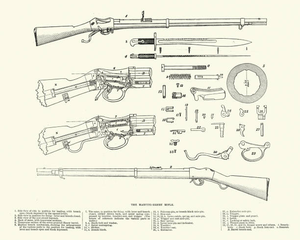 медицинский анамнез-мартини незамедлительно  henry rifle, в 1871 - bayonet stock illustrations