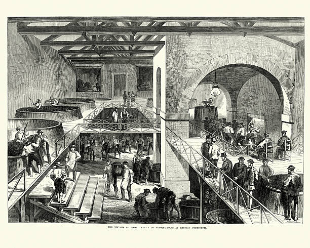 istock Wine making in Medoc Pressing House at Chateau d'Estournel 505068924