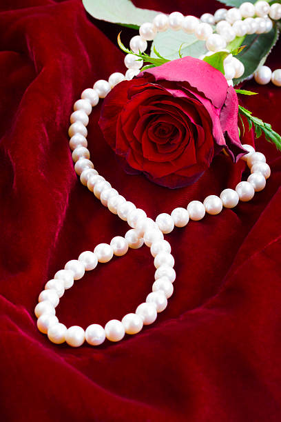 istock red rose on velvet 505069186