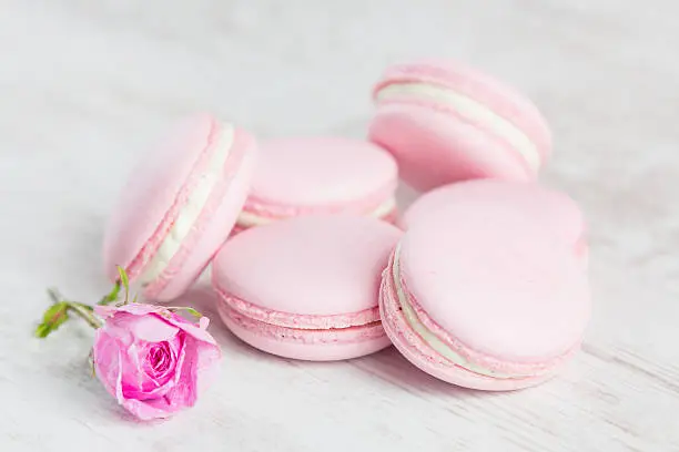 Pastel pink macaroons with rose, pastel colored, selective focus