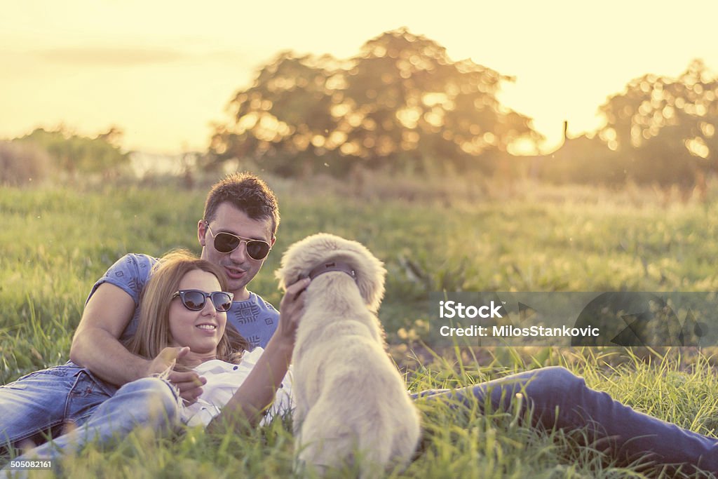 Loving couple playing with dog in open field Love couple with their dog in the park Dog Stock Photo