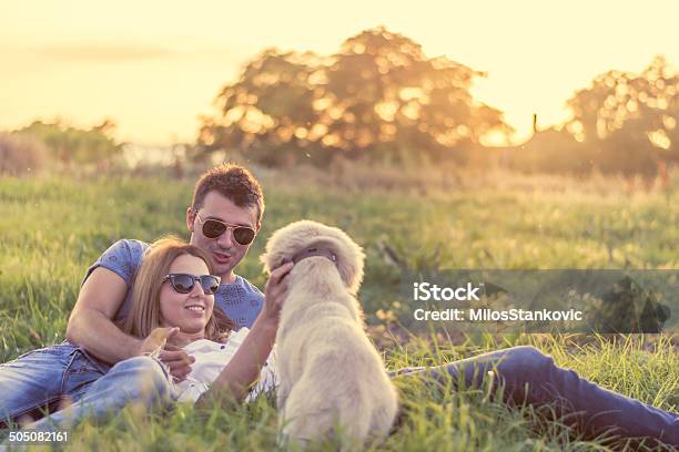 Loving Couple Playing With Dog In Open Field Stock Photo - Download Image Now - Dog, Outdoors, Young Couple