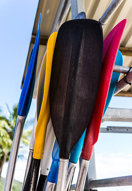istock Paddles lean together on the beach 505082435