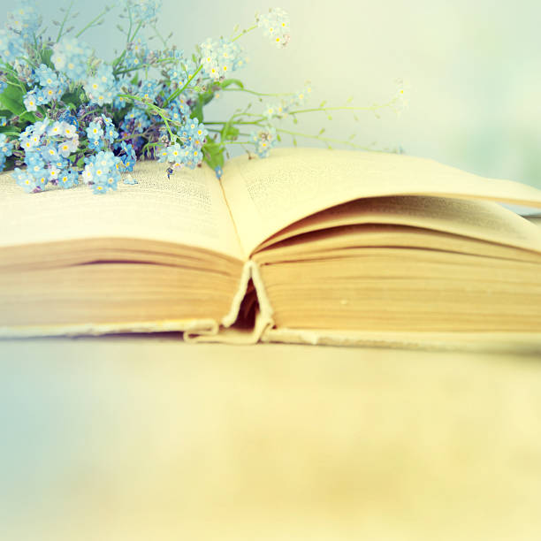 istock Blue spring flowers on a bible page. 505082991