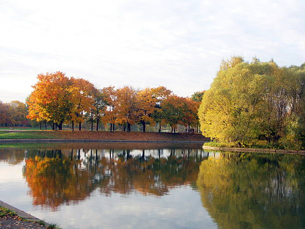 istock autumn in city park 505083845