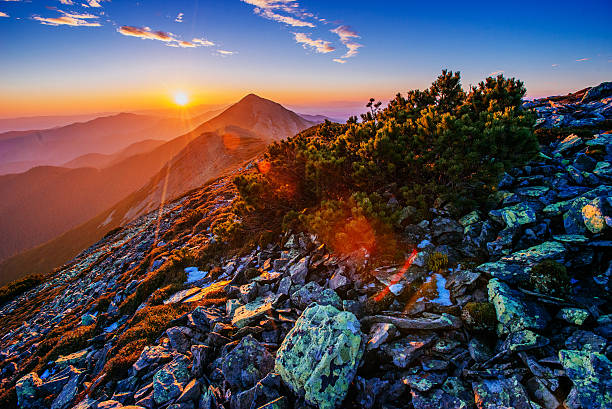 istock magnificent of sunrise 505084986