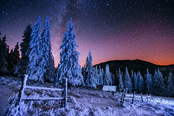 istock Dairy Star Trek in the winter woods 505085454