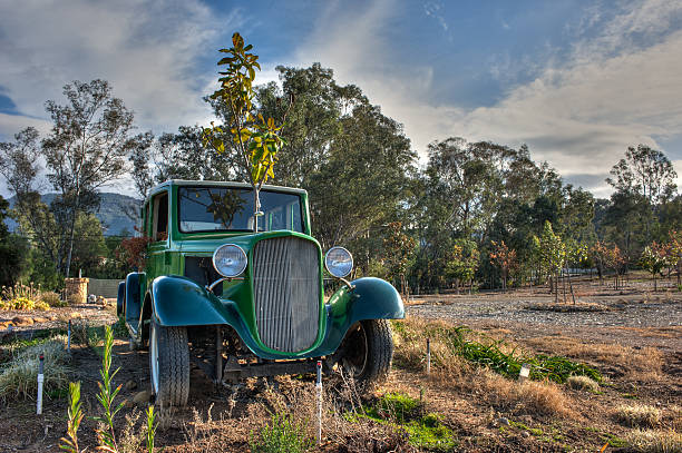 Old 1933 car used as a landscape planter.