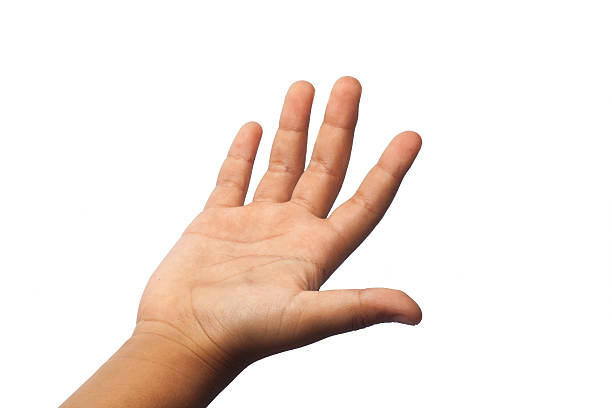 istock child hand shows the number five on white background 505087206