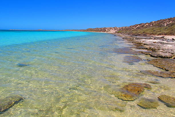 istock Coral Bay, Western Australia 505087936