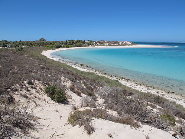 istock Coral Bay, Western Australia 505088870