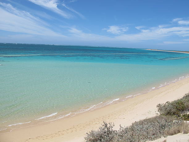 istock Coral Bay, Western Australia 505089678