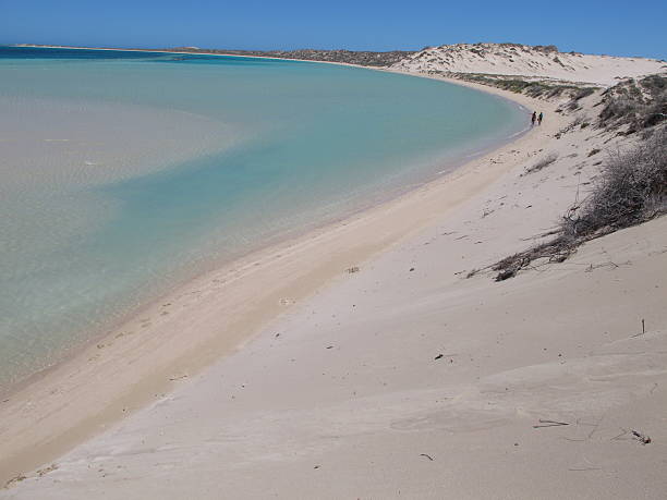 istock Coral Bay, Western Australia 505090312