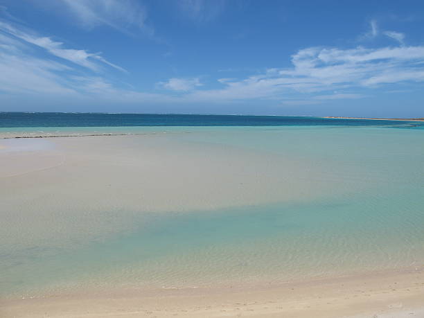 istock Coral Bay, Western Australia 505090566