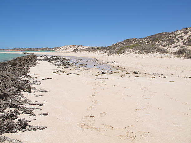 istock Coral Bay, Western Australia 505091136