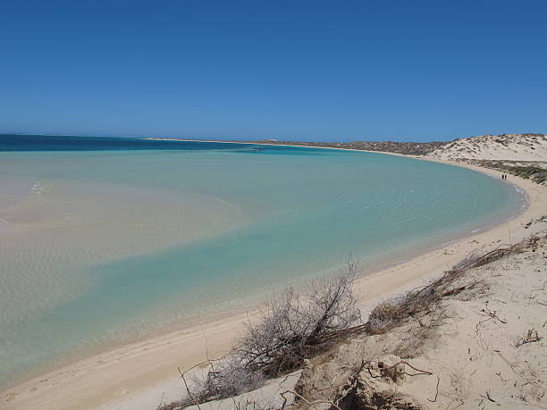 istock Coral Bay, Western Australia 505091346