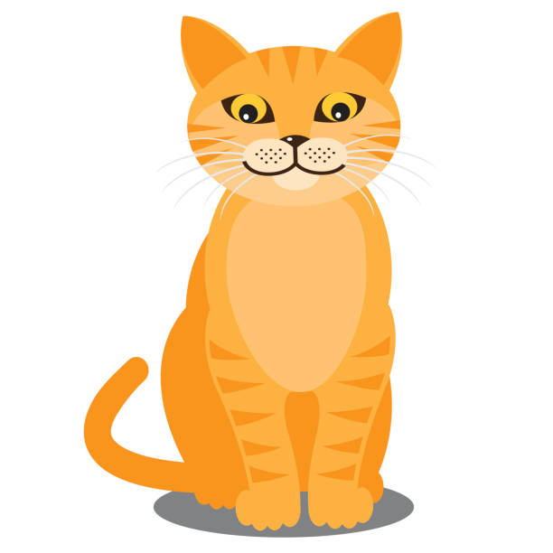 illustrazioni stock, clip art, cartoni animati e icone di tendenza di sorridente gatto. vettoriale - kitten white background domestic animals domestic cat