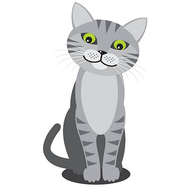 Smiling cat. Vector Smiling cat. EPS10 vector layers (removeable) and alternate formats (hi-res jpg, pdf). hair grey stock illustrations
