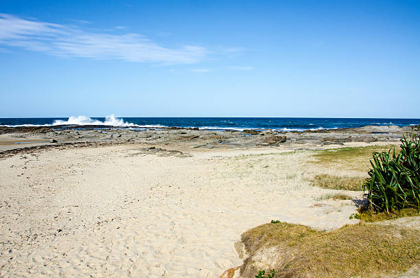 istock Blue Sky, Beach, troubled sea and green bushes 505093844