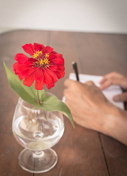 istock red flower in vase 505093960