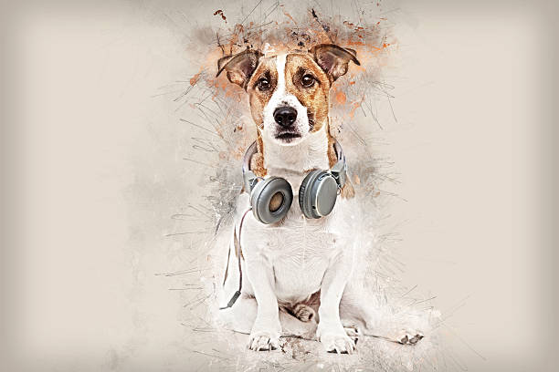 pies portret z słuchawki - animal ear audio zdjęcia i obrazy z banku zdjęć